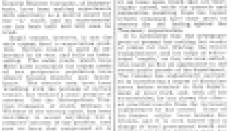 Preview of Notes from Gotham - The Rapid Transit Question Nearing Solution article