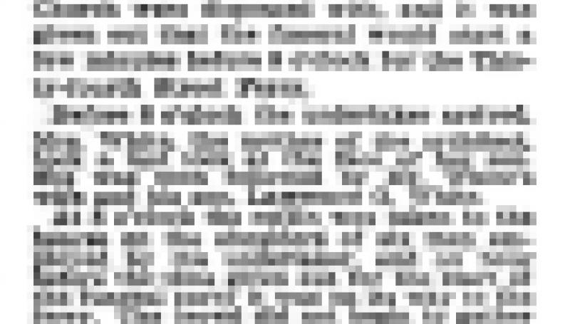 Preview of White Funeral Party Eluded the Curious  article
