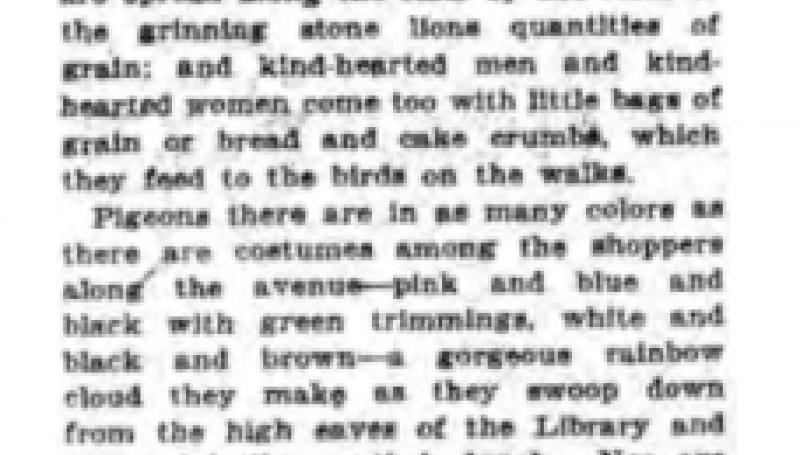 Preview of Nikola Tesla, Trusted Friend of the Pigeons article