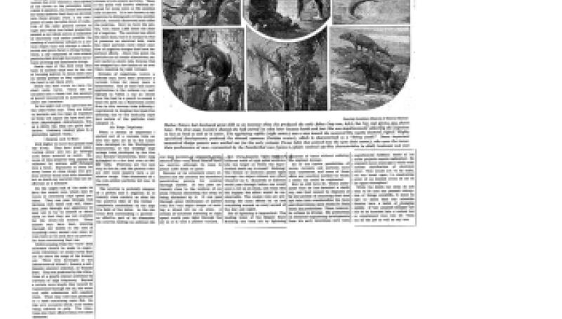 Preview of Progress of Science: Scores of Death Ray Inventions Still Await First Demonstrations article