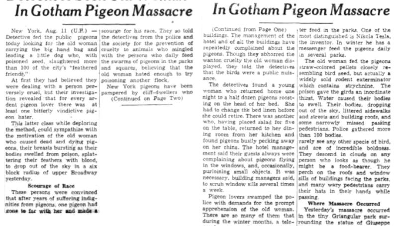 Preview of Detectives Seek Old Woman in Gotham Pigeon Massacre article