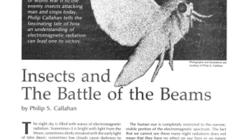 Preview of Insects and The Battle of the Beams article