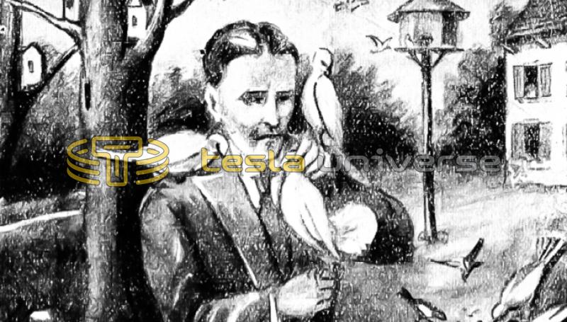 Drawing of Nikola Tesla in his later years feeding pigeons