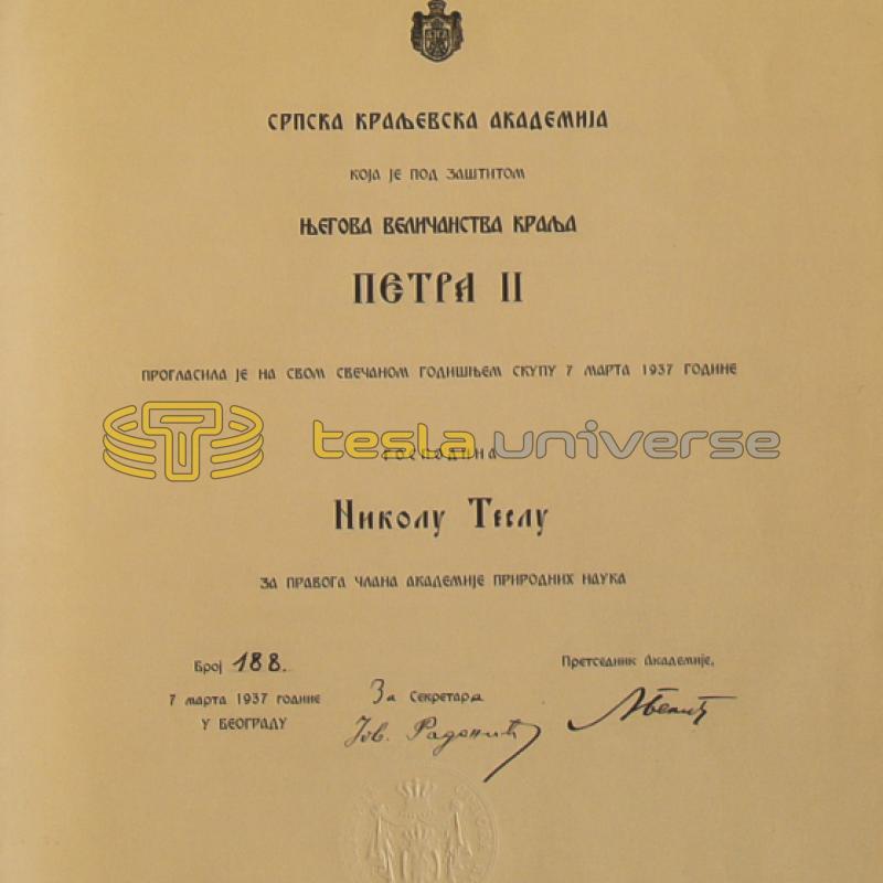 Certificate of permanent membership of the Serbian Royal Academy awarded to Tesla