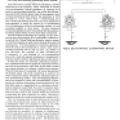 Preview of The Tesla Self-Starting Alternating Motor System article