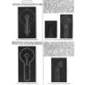 Preview of Experiments with Alternate Currents of High Potential and High Frequency - Part III article