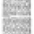 Preview of The World Loses article
