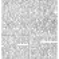 Preview of Using the Sun's Rays (reprint) article