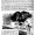 Preview of New York Scientists and the New Light article