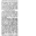 Preview of Odd Habits of X-Rays article