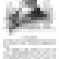 Preview of Wonders of the X-Ray article