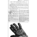 Preview of Nikola Tesla's Hand Seen by a Palmist article