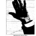 Preview of The Hand of Nikola Tesla article