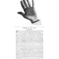 Preview of Reading of the Hand article
