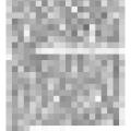 Preview of Artificial Daylight - Nikola Tesla's Discovery to be Put to Practical Test (reprint 2) article