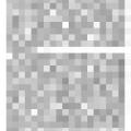 Preview of Artificial Daylight - Nikola Tesla's Discovery to be Put to Practical Test (reprint 2) article