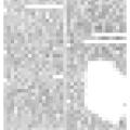 Preview of Magazines for June (1900) (reprint) article