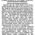 Preview of Calls Tesla a Fanatic article