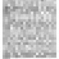Preview of Tesla's Revision of Dynamics article