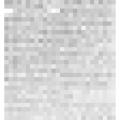 Preview of In the Old Astor Branch article