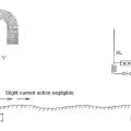 Diagram illustrating the Hertz wave system