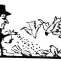 Illustration of Nikola Tesla Feeding Pigeons