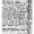 Preview of New York County Judgments (May 27, 1926) article