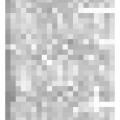 Preview of Fuelless Motor Puzzles Experts article