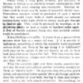 Preview of Tesla's Death Rays article