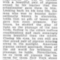 Preview of Tesla's Love of Pigeons article