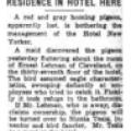 Preview of Homing Pigeon Takes Up Residence in Hotel Here article