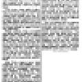 Preview of Old Woman Scatters Her Poisons and 100 Pigeons Fall Dead in City Streets article
