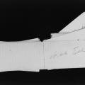 Nikola Tesla’s autograph in Julia Stevens Hoefer’s notebook