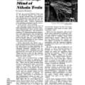 Preview of The Strange Mind of Nikola Tesla article
