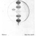 Antenna system - the earth as a source of standing waves on the earth