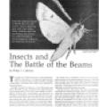 Preview of Insects and The Battle of the Beams article