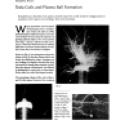 Preview of Tesla Coils and Plasma Ball Formation article