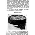 Nikola Tesla - Pictures and Experiences from Childhood and Education - Page 19