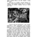 Nikola Tesla - Pictures and Experiences from Childhood and Education - Page 77