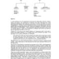 Proceedings of the 1988 International Tesla Symposium - Page 6-10