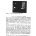 Proceedings of the 1988 International Tesla Symposium - Page 6-50