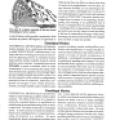 Proceedings of the 1992 International Tesla Symposium - Page 148