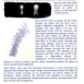 Wardenclyffe - Page 24