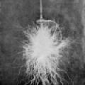 Tesla using a ball as a discharge point from the extra coil of his Colorado Springs oscillator