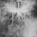 Nikola Tesla Colorado Springs oscillator discharge from 8" ball with two wires
