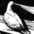Illustration of Tesla's Pigeon