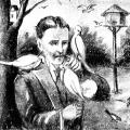 Drawing of Nikola Tesla in his later years feeding pigeons